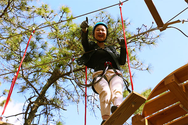 ropes course, high ropes, ropes course supplier