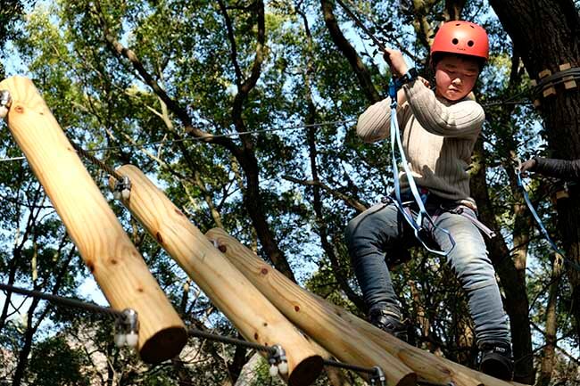 canopy challenge course, treetop challenge course