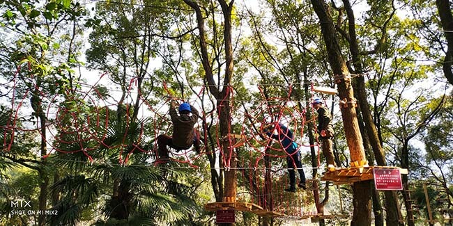 canopy challenge course, treetop challenge course