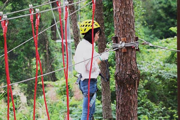 treetop adventure course, forest challenge course