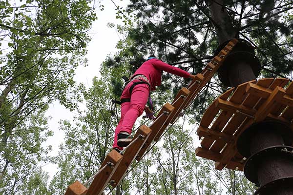 adventure park, treetop adventure, canopy adventure course, forest adventure course