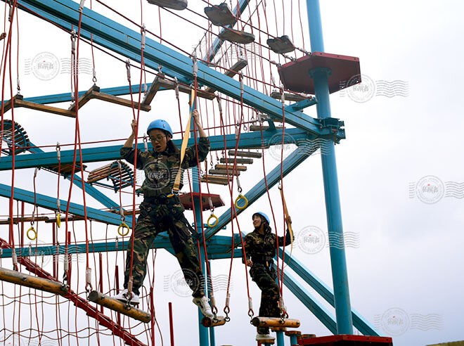 Adventure ropes Course, aerial adventure course, high low ropes, ropes challenge course