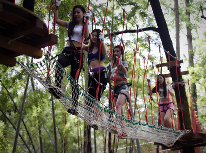 Forest Treetop Ropes Course