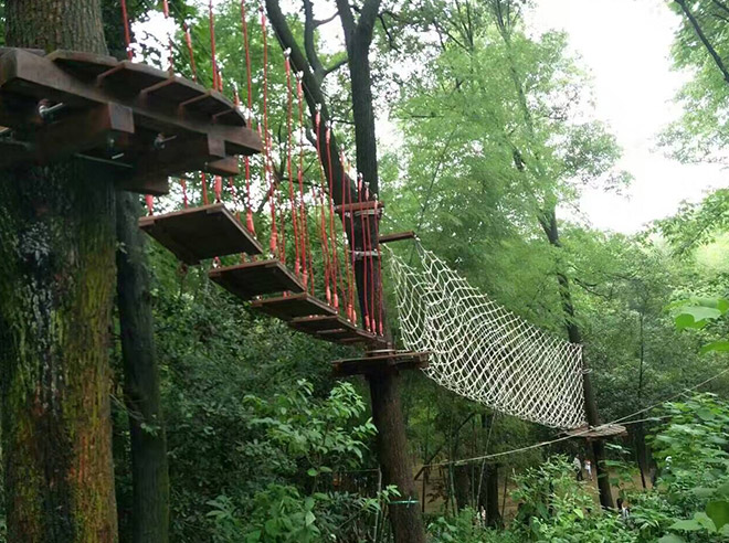Forest Treetop Ropes Course