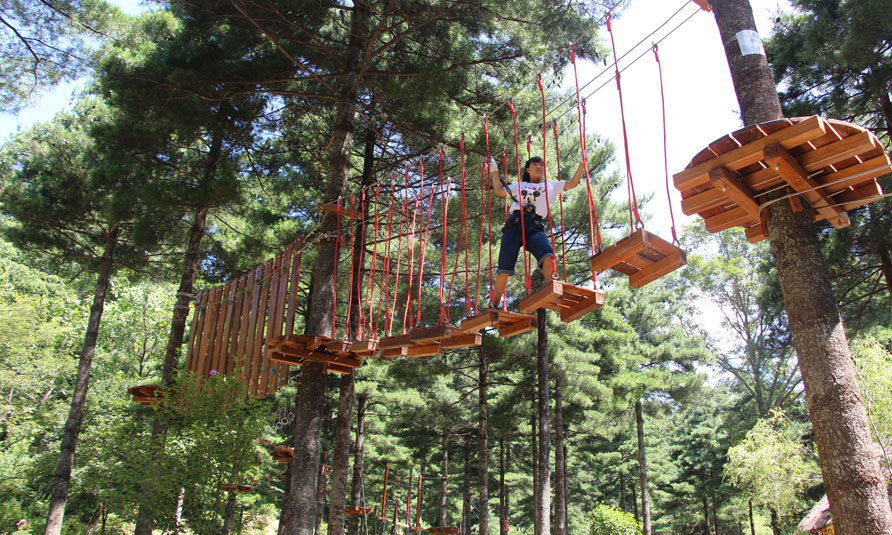 Tree Top Adventure Park, tree top challenge, treetop challenge, treetop ropes course
