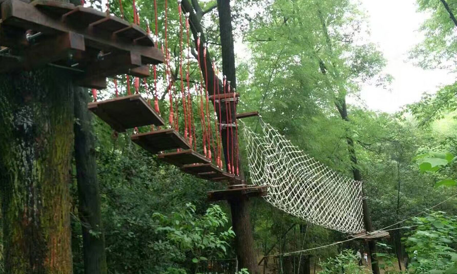 Treetop Challenge Course in China Bamboo Expo Park