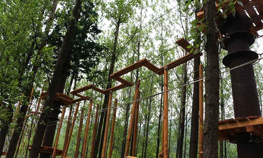 treetop challenge course, forest adventure course, canopy adventure course, obstacle course, adventure park