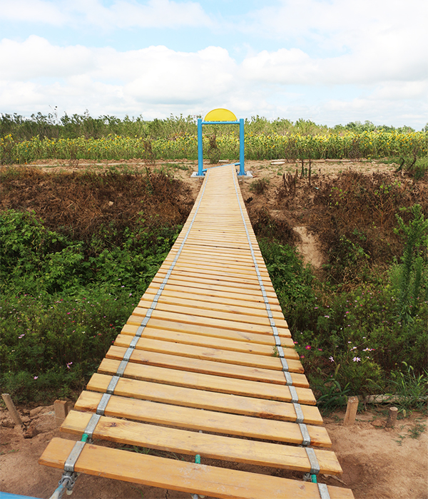 obstacle course, ropes course, climbing wall