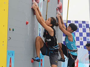 climbing wall, rock climbing wall, climbing wall supplier