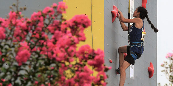 climbing wall, rock climbing wall, climbing wall supplier