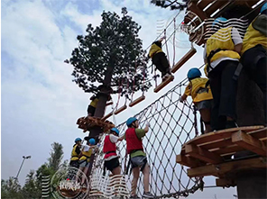 ropes course, climbing wall, treetop, obstacle course, campus