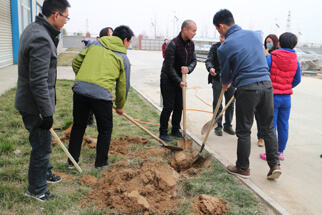 Arbor Day 2016, JP Development