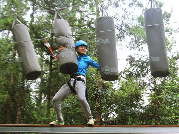 belay system, high ropes, protection system