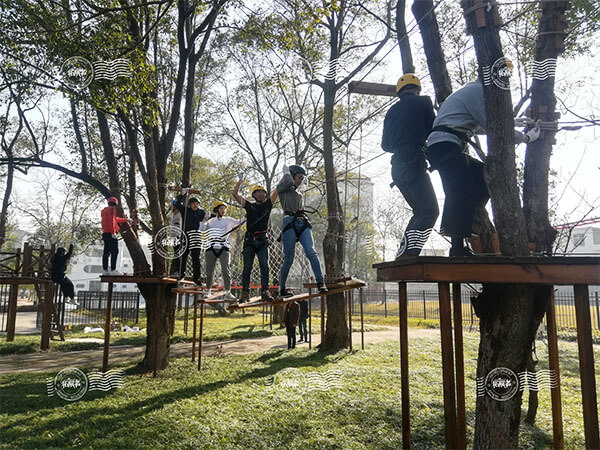 adventure course,  treetop adventure course,  forest adventure course