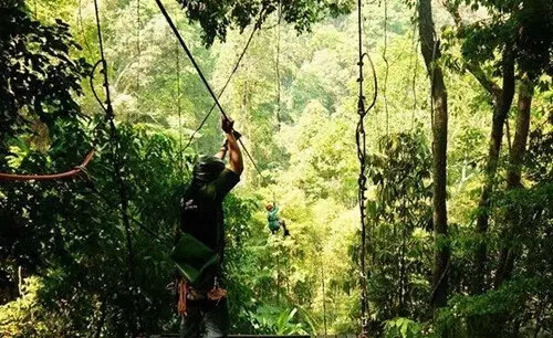 Zipline in China, zipline, zip line