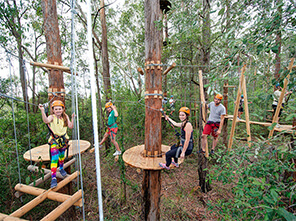 ropes course， treetop adventure course， climbing wall