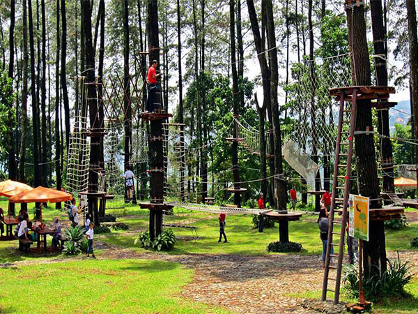 ropes course， treetop adventure course， climbing wall