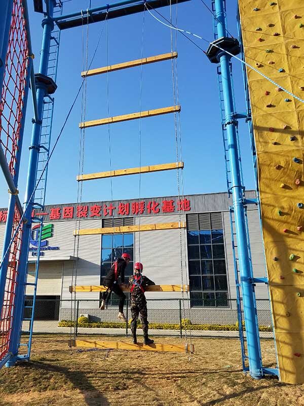 jacob ladder, high ropes challenge, team building