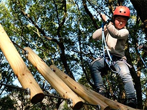 canopy challenge course, treetop challenge course