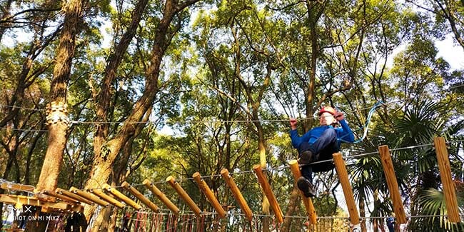 canopy challenge course, treetop challenge course