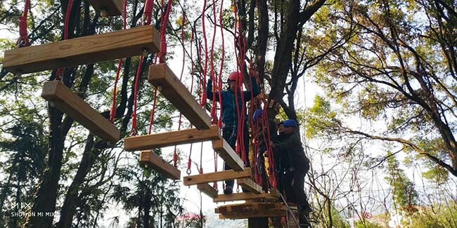 canopy challenge course, treetop challenge course