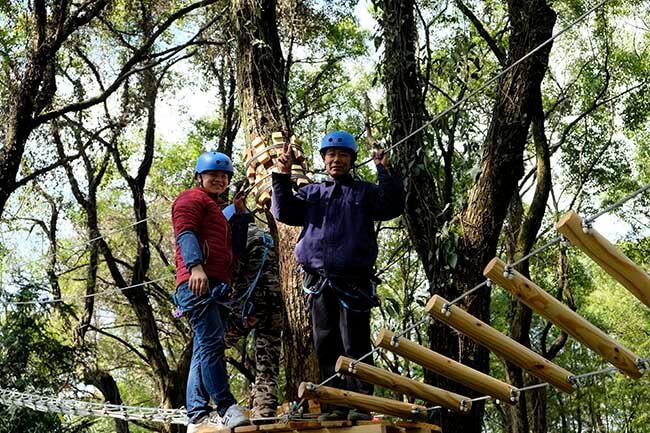 canopy challenge course, treetop challenge course