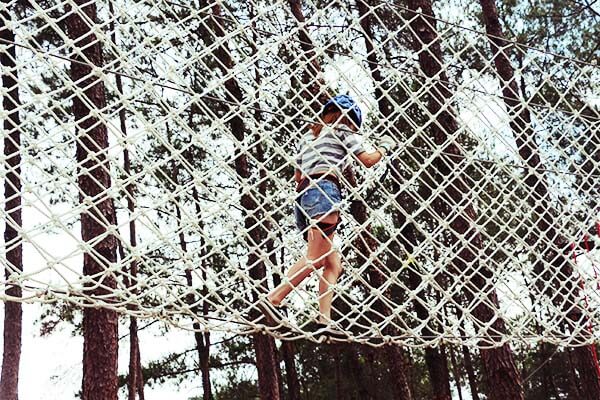 treetop adventure course, forest challenge course