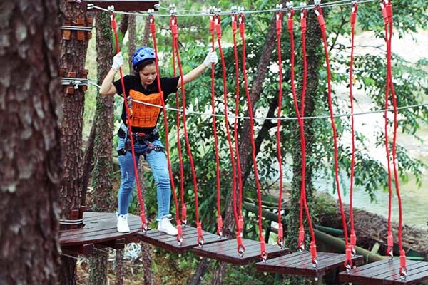 treetop adventure course, forest challenge course