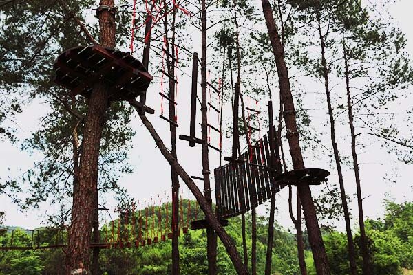 treetop adventure course, forest challenge course