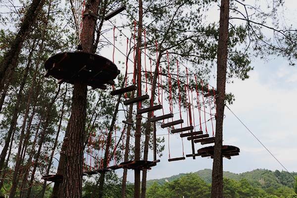 treetop adventure course, forest challenge course