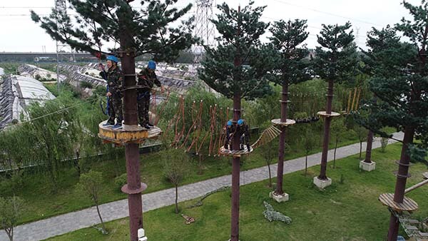 adventure park , team building equipment, obstacle course