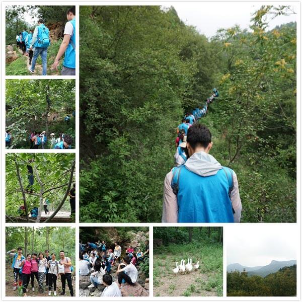 jp development, trekking, ropes course, high ropes