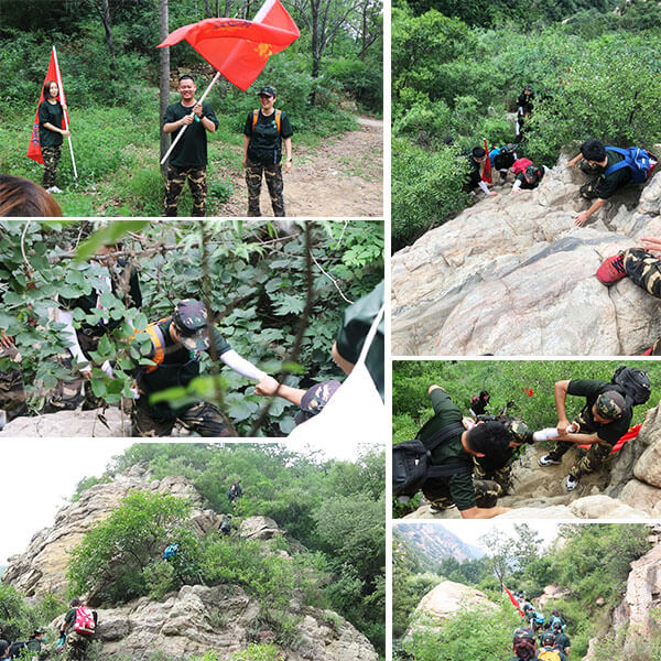 climbing wall, jpdevelopment, ropesadventure. rockclimbing