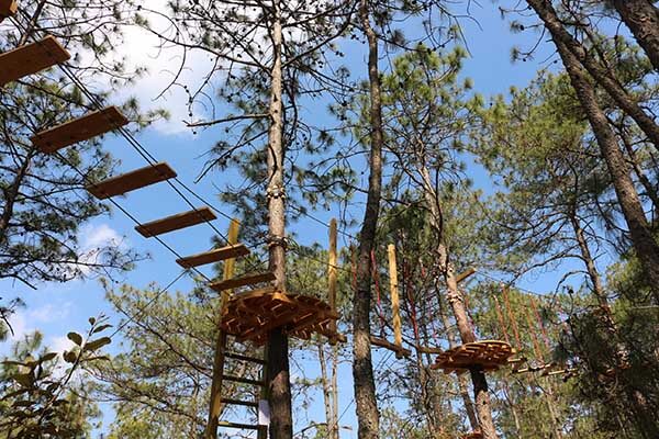 forest adventure course, treetop adventure course, aerial challenge course