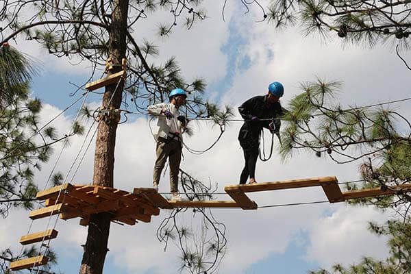 forest adventure course, treetop adventure course, aerial challenge course