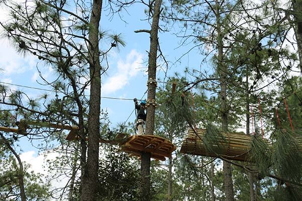 forest adventure course, treetop adventure course, aerial challenge course