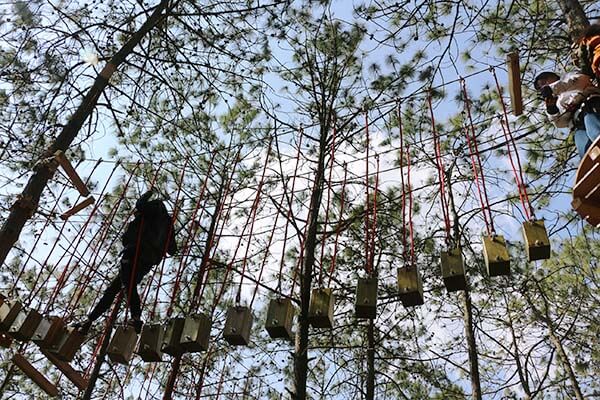 forest adventure course, treetop adventure course, aerial challenge course