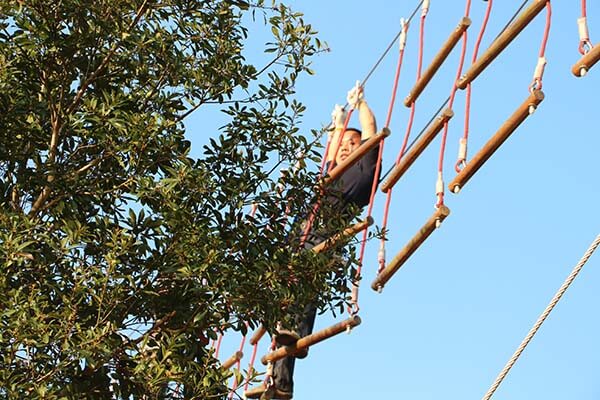 hgih ropes course, treetop adventure course, treetop trekking course