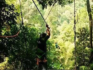 forest adventure park, treetop trekking, tree top challenge course