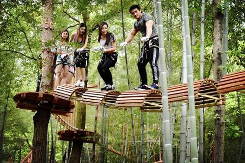 forest adventure park, treetop trekking, tree top challenge course