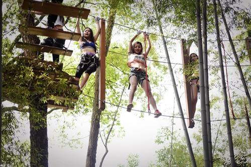 forest adventure park, treetop trekking, tree top challenge course