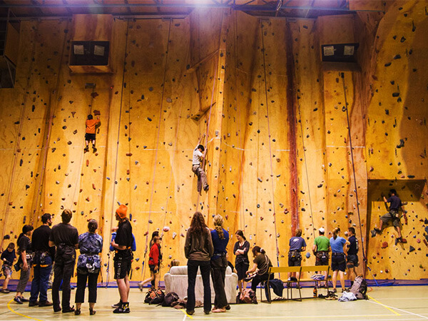 climbing wall, playground,amusement park