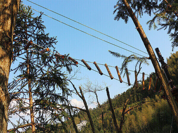 treetop course， ropes course， climbing wall