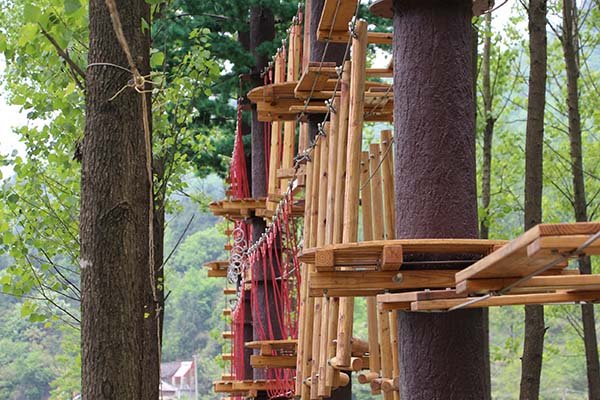 adventure park, treetop adventure, canopy adventure course, forest adventure course