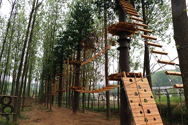 adventure park, treetop adventure, canopy adventure course, forest adventure course