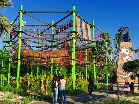Customized Wire-system Aerial Ropes Course