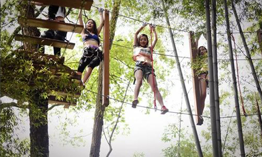 Tree Tops Ropes Course, tree top adventure park, treetop challenge