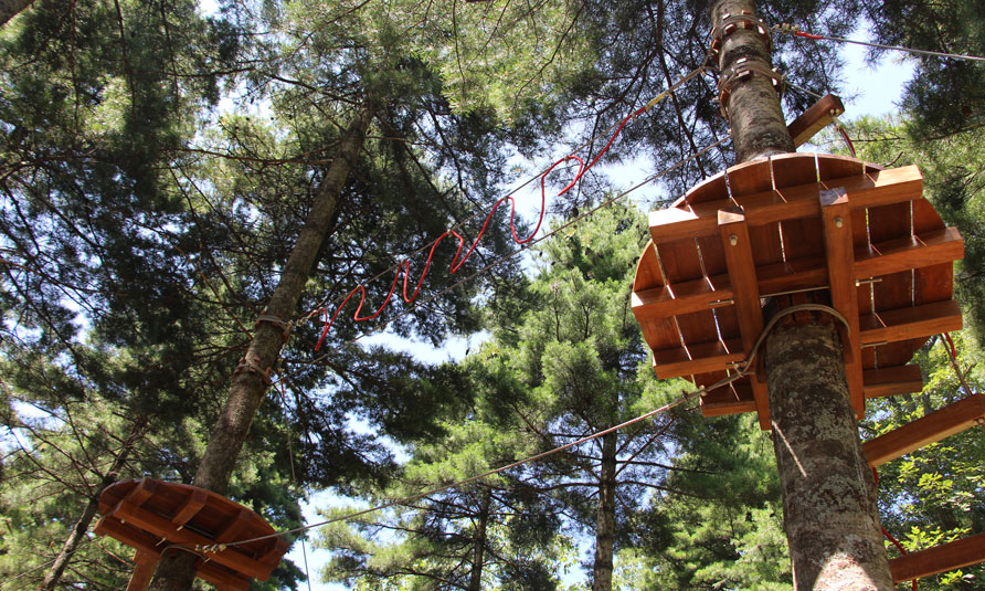 [!--Tree Top Adventure Park, tree top challenge, treetop challenge, treetop ropes course--]