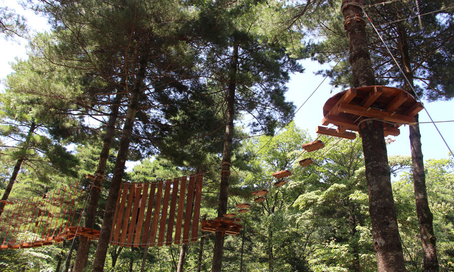 Tree Top Adventure Park, tree top challenge, treetop challenge, treetop ropes course