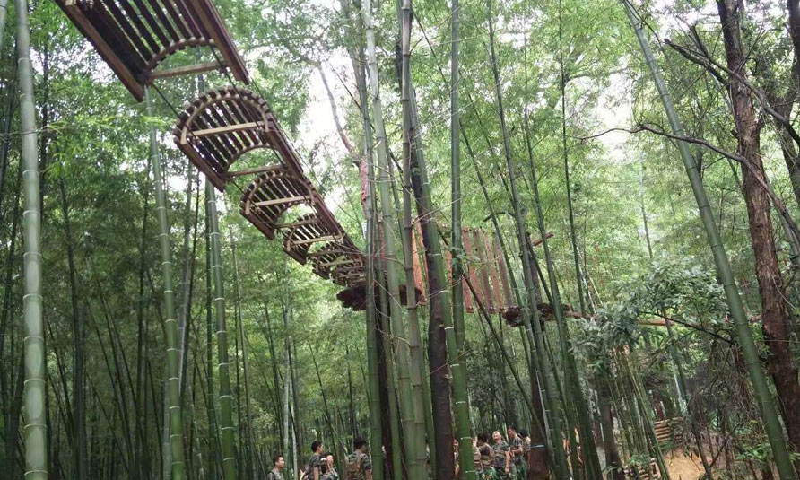 Treetop Challenge Course in China Bamboo Expo Park